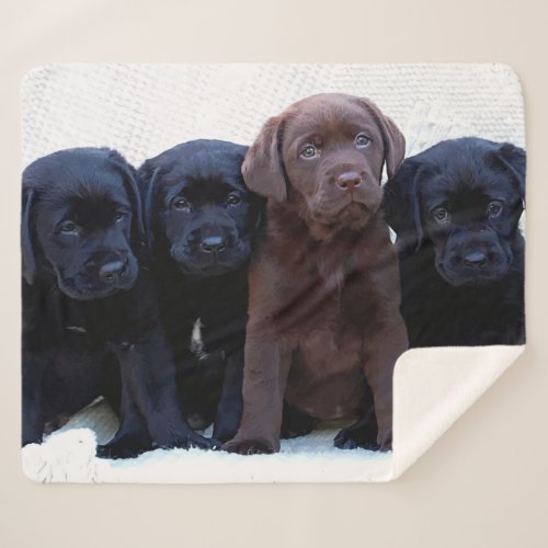 Chocolate Lab _ Black Labrador Puppies Sherpa Blanket