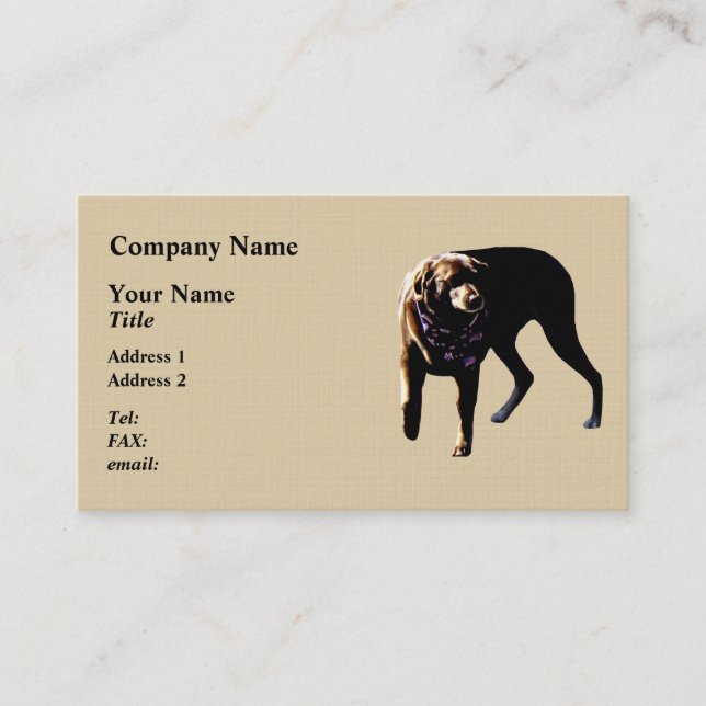 Chocolate Lab Business Card (Front)