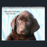 Chocolate Lab Calendar<br><div class="desc">Buster the chocolate lab calendar! Enjoy his sweet face all through the year!</div>