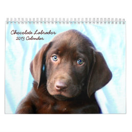 Chocolate Lab Calendar