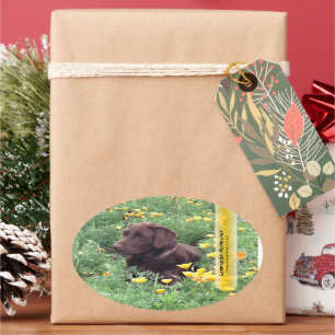 Chocolate Lab California Poppy Patch Personalized Oval Sticker