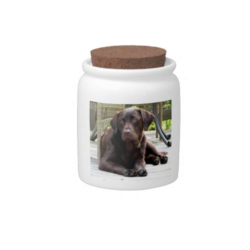 Chocolate Lab Candy Jar