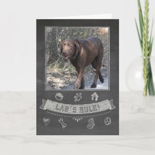Chocolate Lab Chalkboard Birthday Card