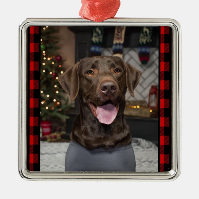 Chocolate Lab Christmas Ornament (Front)