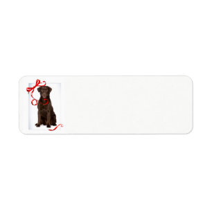 Chocolate Lab Christmas Return Address Labels