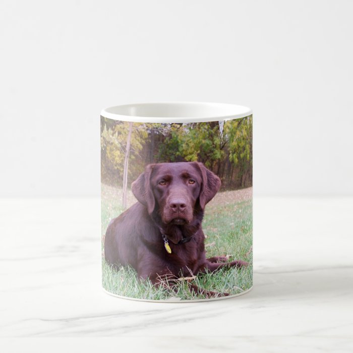 Chocolate Lab Coffee Mugs