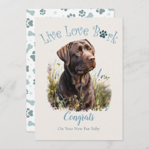 Chocolate Lab Dog Adoption, Gotcha Day Card