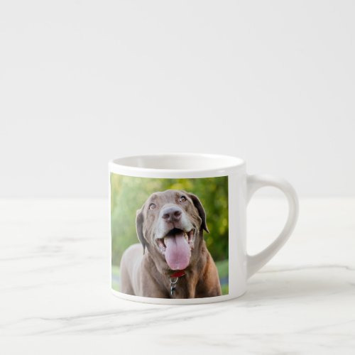 Chocolate Lab Dog Espresso Cup