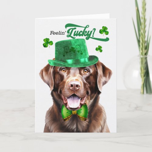 Chocolate Lab Dog Feelin Lucky St Patricks Day Holiday Card