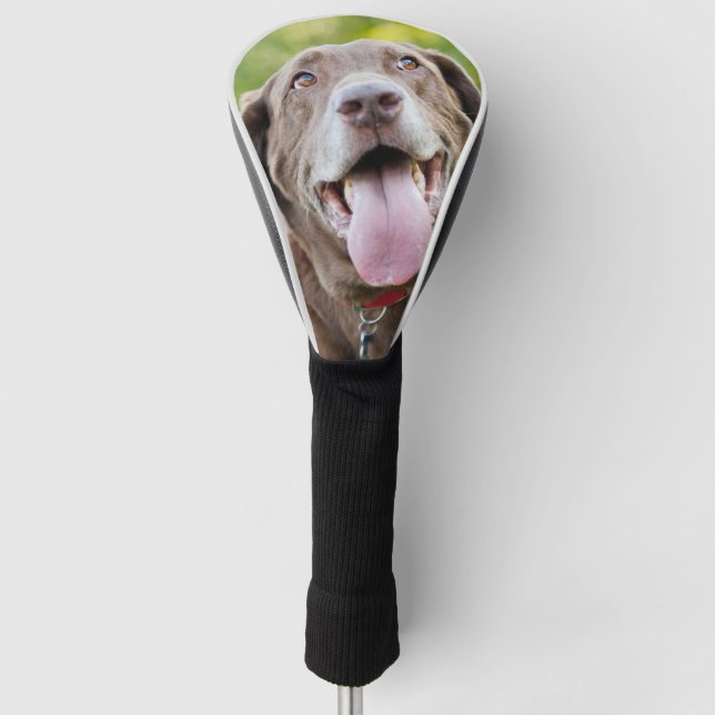 Chocolate Lab Dog Golf Head Cover (Front)
