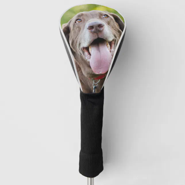 Chocolate Lab Dog Golf Head Cover Zazzle
