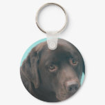 Chocolate Lab Dog Keychain