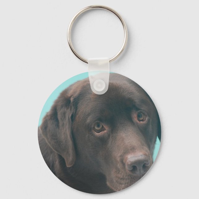 Chocolate Lab Dog Keychain (Front)