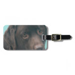 Chocolate Lab Dog Luggage Tag