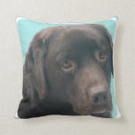 Chocolate Lab Dog Pillow