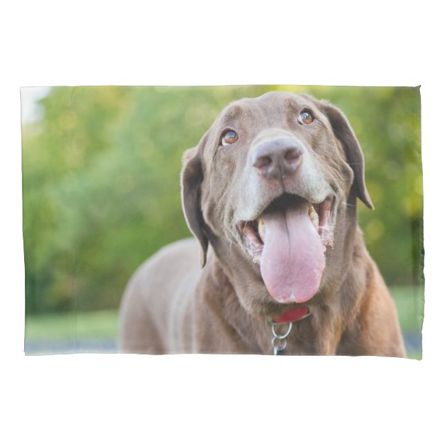 Chocolate Lab Dog Pillow Case (Front)