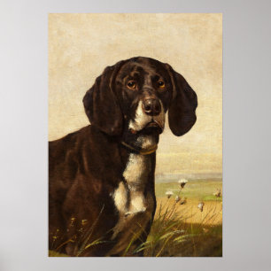 Chocolate Lab Dog, Vintage Poster