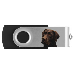 chocolate lab face flash drive