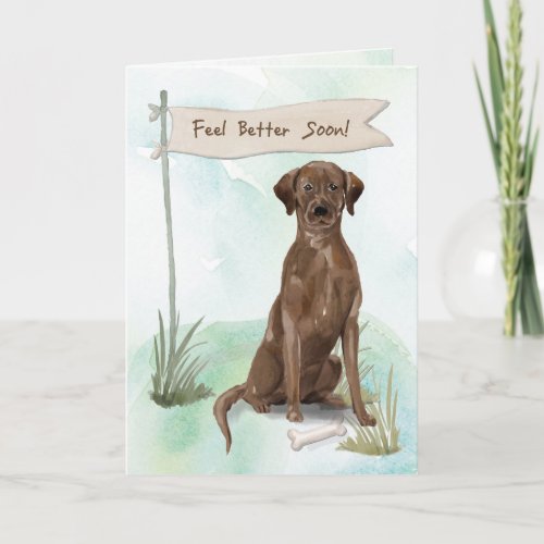 Chocolate Lab Feel Better After Surgery to Dog Card