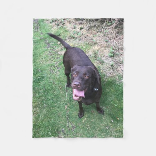 Chocolate Lab Fleece