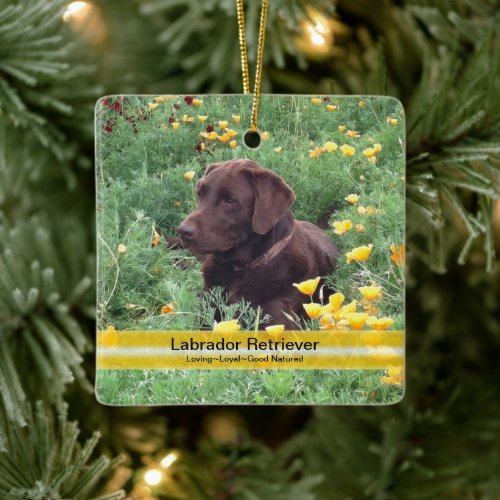 Chocolate Lab Flower Patch Custom Photo Ceramic Ornament