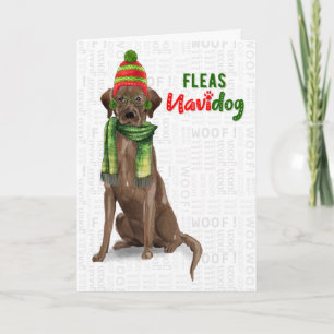 Chocolate Lab Funny Fleas Navidog Christmas Holiday Card
