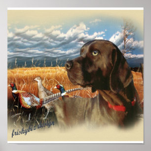 Chocolate Lab Hunts Poster