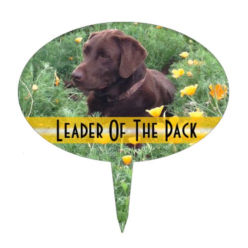 Chocolate Lab in California Poppy Patch Cake Topper