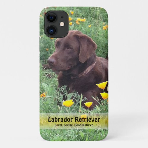 Chocolate Lab in California Poppy Patch iPhone 11 Case