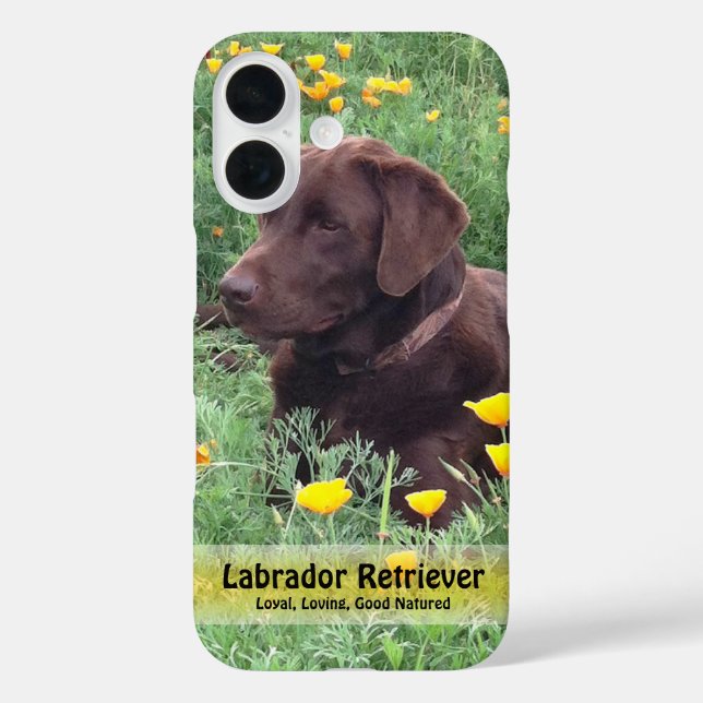 Chocolate Lab in California Poppy Patch Case-Mate iPhone Case (Back)