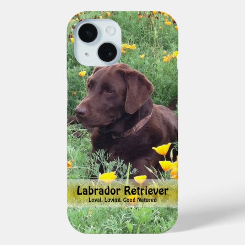Chocolate Lab in California Poppy Patch iPhone 15 Case