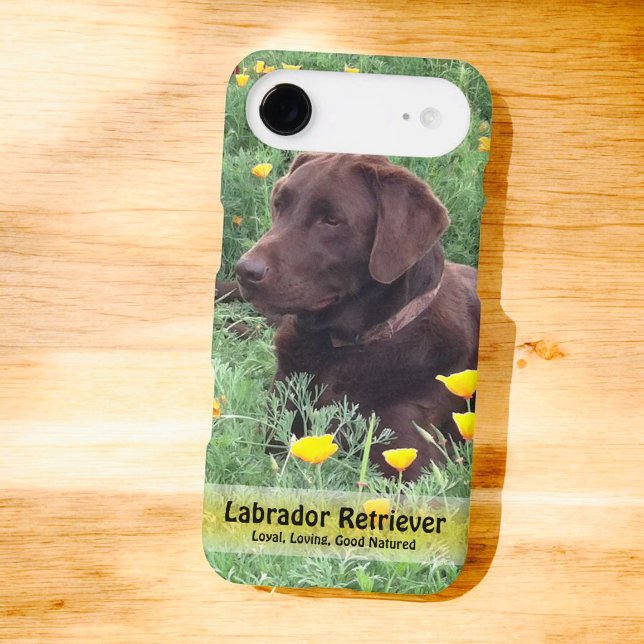 Chocolate Lab in California Poppy Patch Case-Mate iPhone Case (Back of iPhone cover with photo and template text)