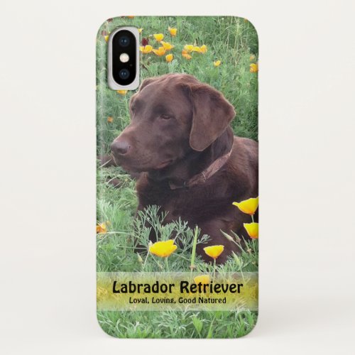 Chocolate Lab in California Poppy Patch iPhone X Case