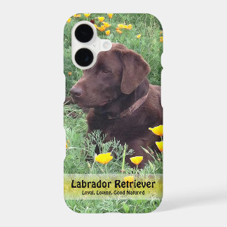 Chocolate Lab in California Poppy Patch iPhone 17 Case