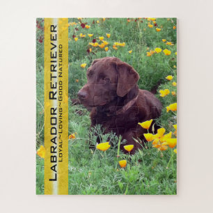 Chocolate Lab in California Poppy Patch Custom Jigsaw Puzzle