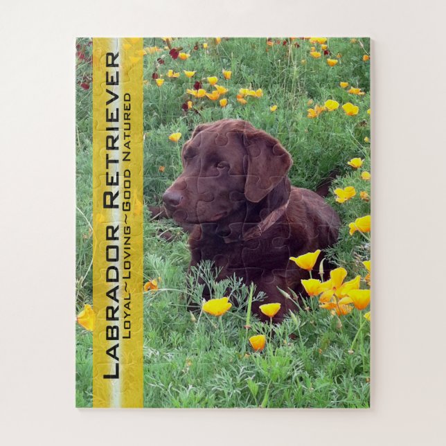 Chocolate Lab in California Poppy Patch Custom Jigsaw Puzzle (Vertical)