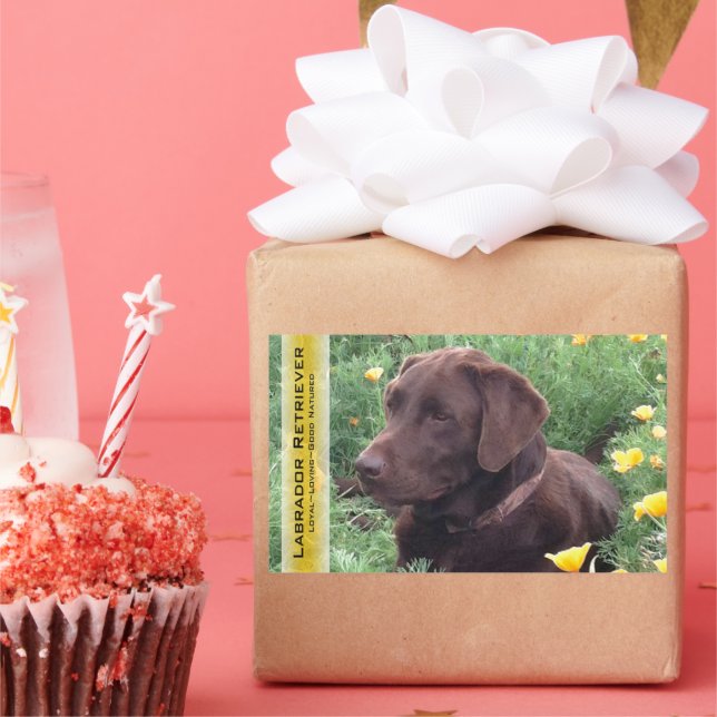 Chocolate Lab in California Poppy Patch Custom Rectangular Sticker (Party)