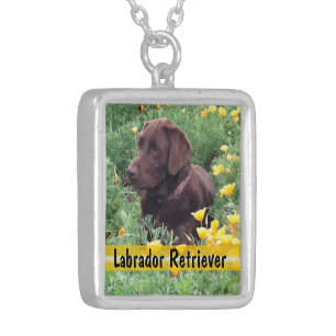 Chocolate Lab in California Poppy Patch Custom Silver Plated Necklace