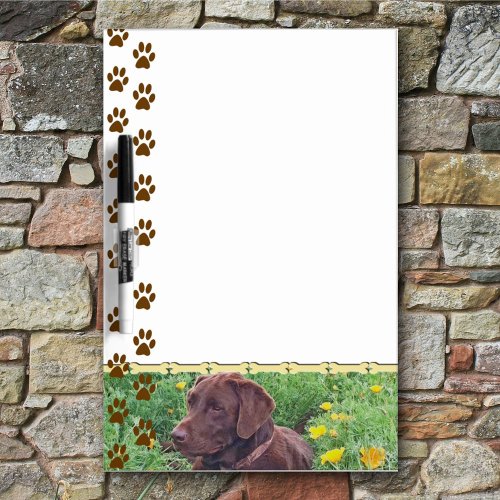 Chocolate Lab in California Poppy Patch Dry_Erase Board