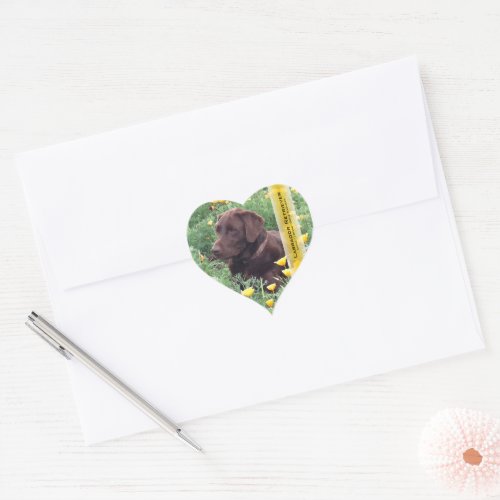 Chocolate Lab in California Poppy Patch Heart Sticker