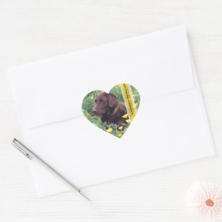 Chocolate Lab in California Poppy Patch Heart Sticker