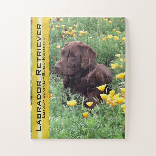 Chocolate Lab in California Poppy Patch Jigsaw Puzzle