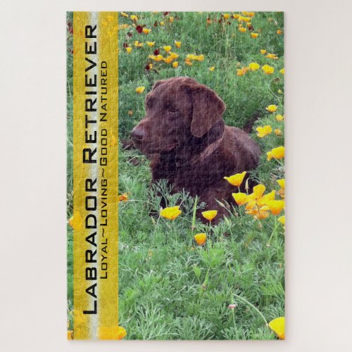 Chocolate Lab in California Poppy Patch Jigsaw Puzzle