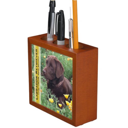 Chocolate Lab In Poppy Patch Photograph Desk Organizer