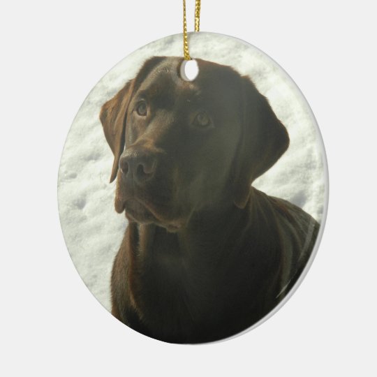 Personalized Dog Ornaments Chocolate Lab in The Snow Ceramic Ornament Zazzle com