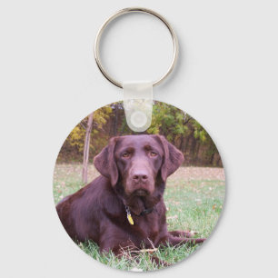 Chocolate Lab Keychain