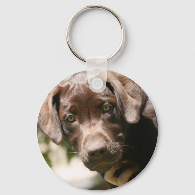 Chocolate Lab Keychain (Front)