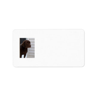 Chocolate Lab Label