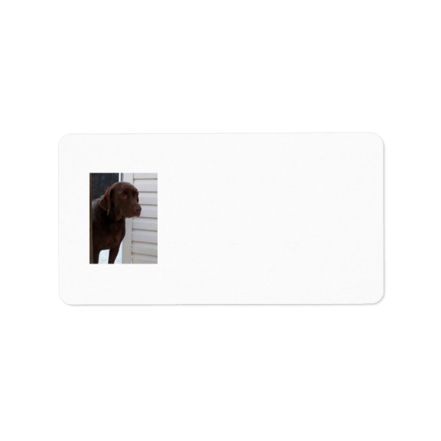 Chocolate Lab Label (Front)