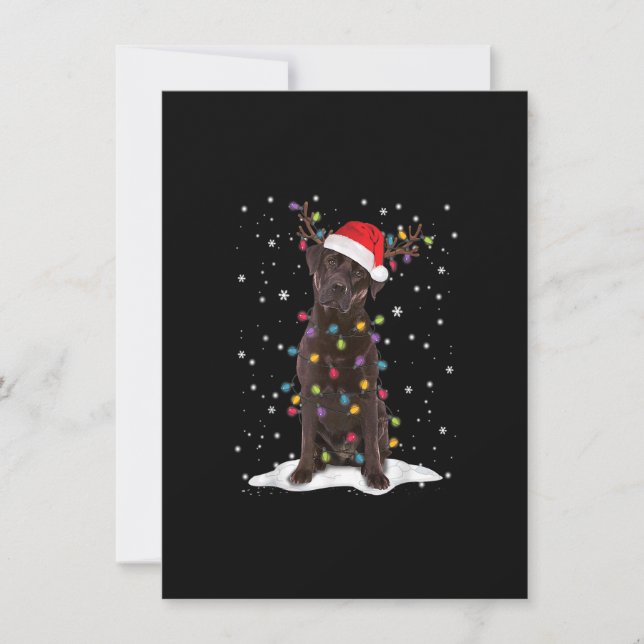 Chocolate Lab Labrador Christmas Tree Light Pajama Invitation (Front)